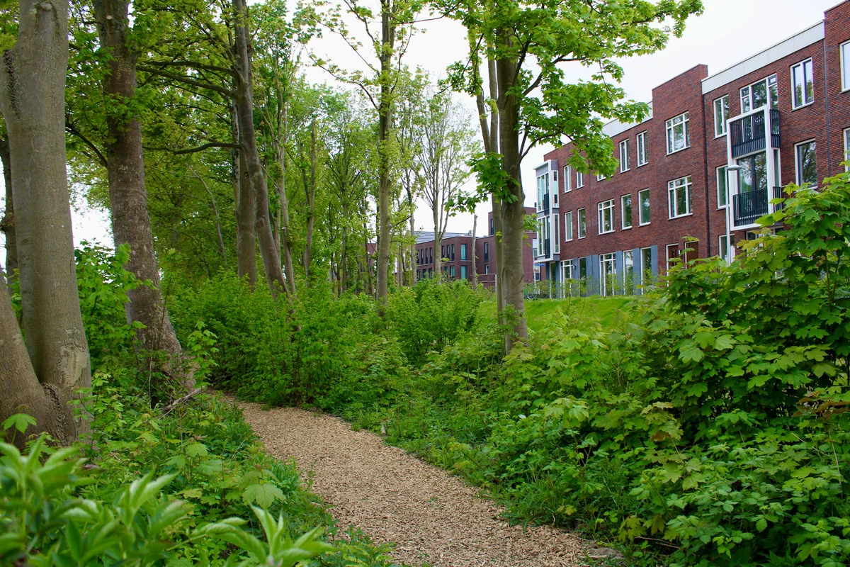 Drie parken op loopafstand – Groen wonen in Leeuwepoort