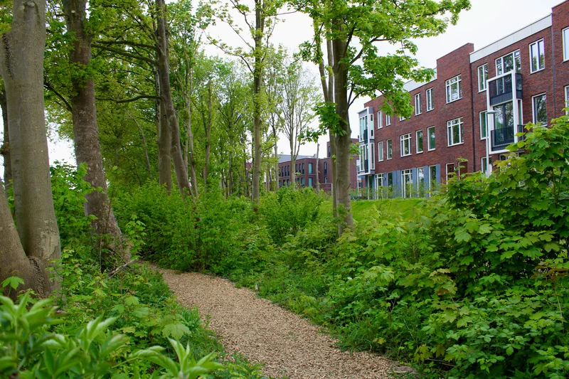 Drie parken op loopafstand – Groen wonen in Leeuwepoort